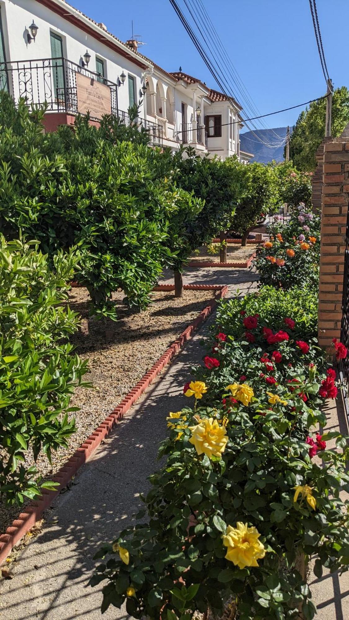 La Canota King Rooms Adults Only Talara Exterior foto